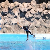 名古屋港　水族館