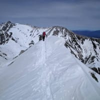 190428平成最後の山歩き　－残雪期の中央アルプス・三ノ沢岳－