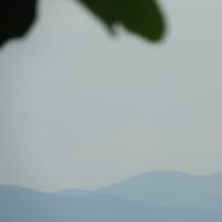 5連荘達成
