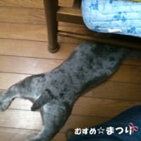 アニマルコミュニケーション④