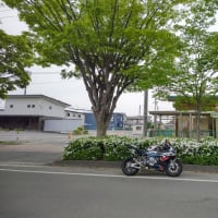 雨降る前に駆け込み出社(;´Д｀)