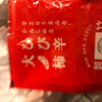 日記24