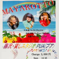 MAYAKOTTO Liveのお知らせ🎼