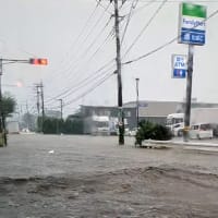 豪雨　　英語