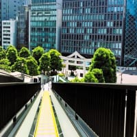 また呼ばれた気がしたので・・✨⛩🌳🐤♪