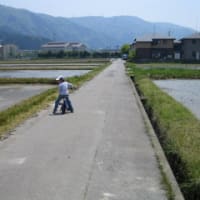 5月5日