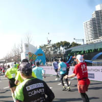 2025東京マラソン大会　参加完走してきました。