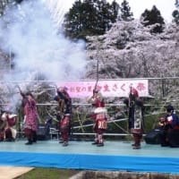 〈剣聖の里⋅柳生〉　満開の桜をバックに第16回さくら祭