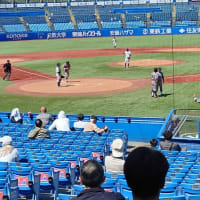２０２５年東京六大学野球初観戦