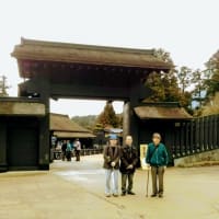 箱根旅