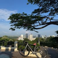 今日はMount FaberからEast Coast Park