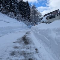 寒波のあとの晴れ☀