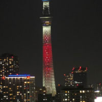 日向坂46の虹開催記念特別ライティング33