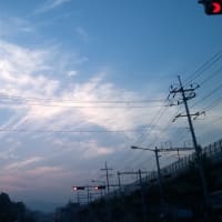 7月 9日f(^_^;