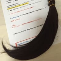 ささやかですが…