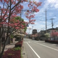 待てど暮らせど、、、