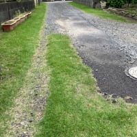 介護と草むしりと体幹トレ