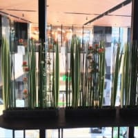 眼鏡屋さんは親切です・・仙台駅東口のお花(^^)