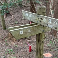 玉峰山登山