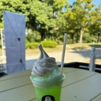 仁徳天皇陵（大仙陵古墳）へ行ってきた