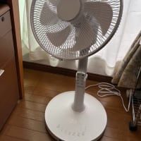 墓じまい