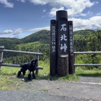 6月の里帰り