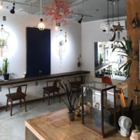 Hajikko商店.書店　　　長崎市江川町