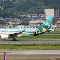長竜航空の特別塗装機　福岡空港