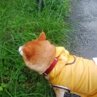 秋を感じた瞬間