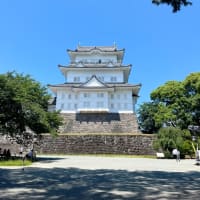 小田原城に来た！