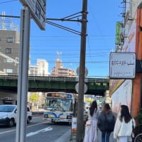 ひとまず潜伏してみた