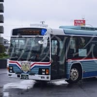一転して全国的に散らばった都営バス先代L代エルガ