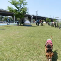 部活＠新横浜公園に移動