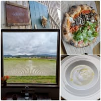 観光のお仕事❣️340