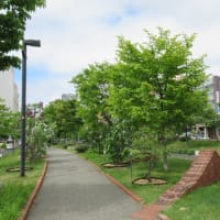北海道-創成川公園
