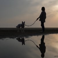 しらたまと四国めぐり#1(父母ケ浜）