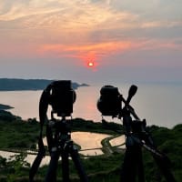 鯉流しショットに初挑戦～。