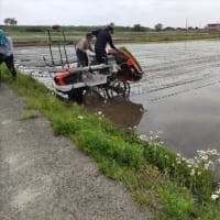 今日は朝からの雨