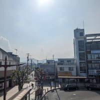 篠窪（しのくぼ）の隣町 草月流佐久山様が「ヤマゴボウ」を生ける(2025/07/08）