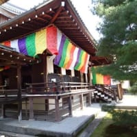 嵯峨野大覚寺4　大覚寺の宸殿から御影堂へ