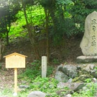 '25源氏物語の旅③