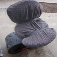 やっと人参が間引けるように