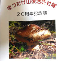 「まつたけ山復活させ隊」20周年記念祝賀会
