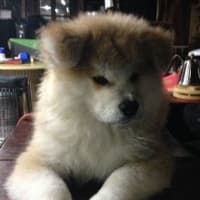 NewFace　⇒　新入り紹介
