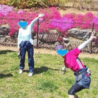 コツコツ距離を伸ばしたい