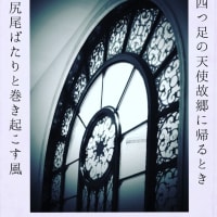夏疲れとジョイ天国へ