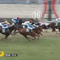 競馬Ｇ３　シルクロードステークス　根岸ステークスを振り返る　　馬券の結果