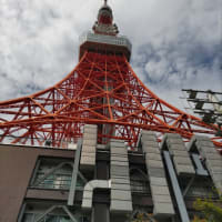 東京スカイツリー、東京タワー見学