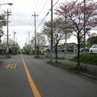 旅の合間、春