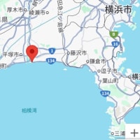コン爺　茅ヶ崎　刺身定食😎❣️